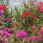 Rustiq * Torrox
